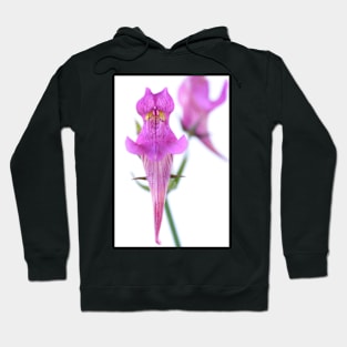 Linaria triornithophora  Three birds toadflax Hoodie